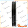 Poulie damper vilebrequin pour PEUGEOT | RKP-PE-003, 3004